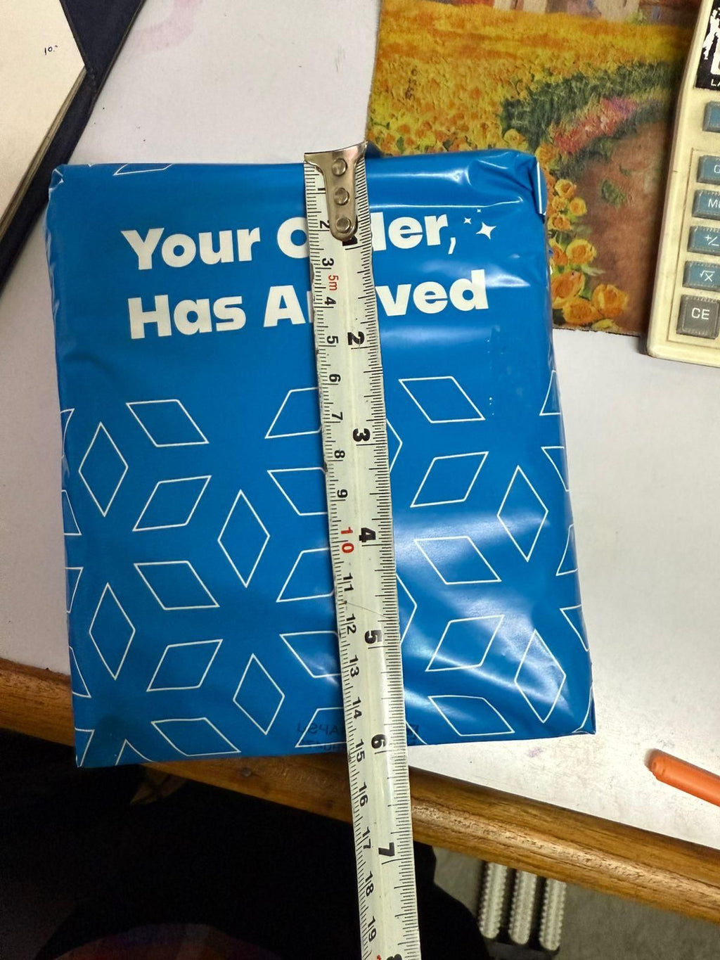 Shoe Deodorant Patches (Pack of 10)